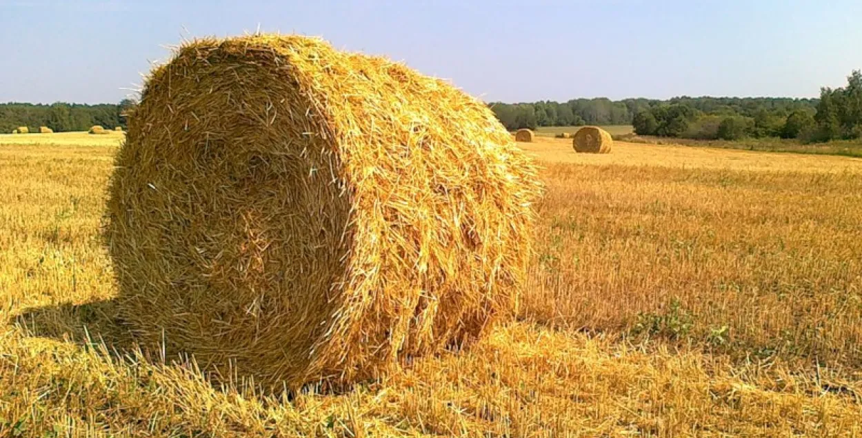 У Столінскім раёне згарэла 300 тон свежай саломы