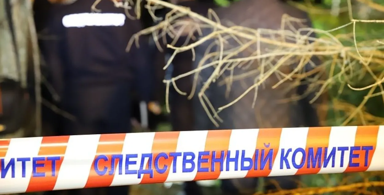 Иллюстративное фото / sk.gov.by