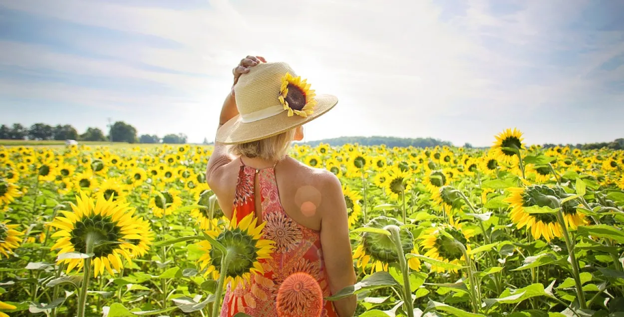 Фото: pixabay.com