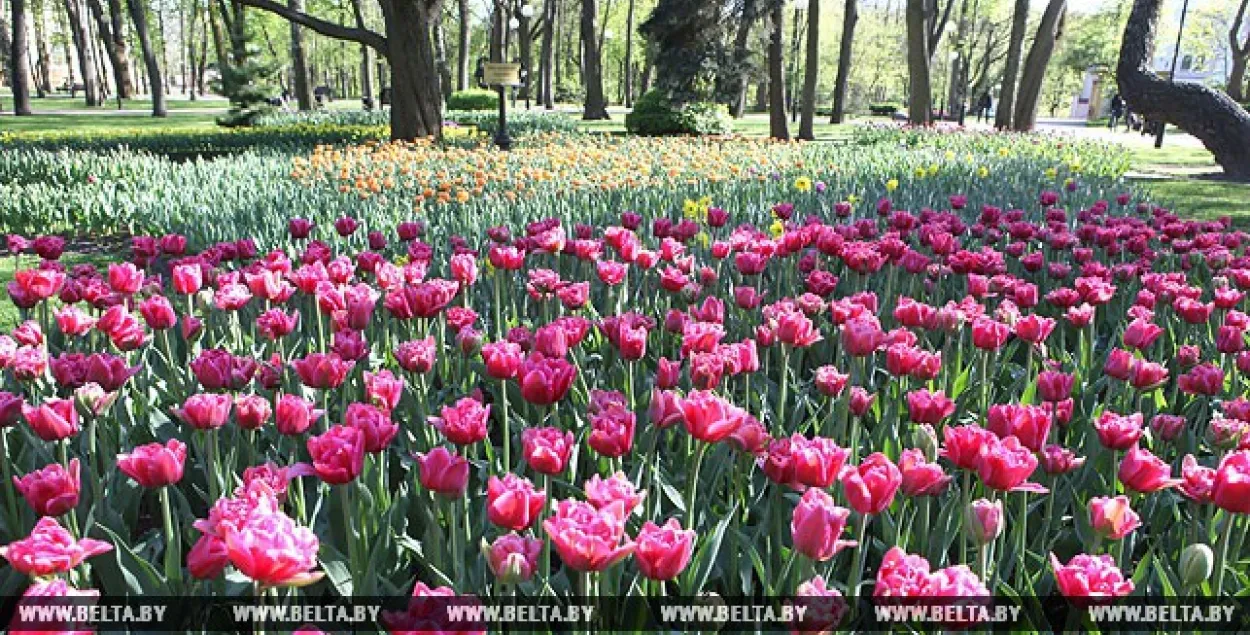 Фото: БЕЛТА