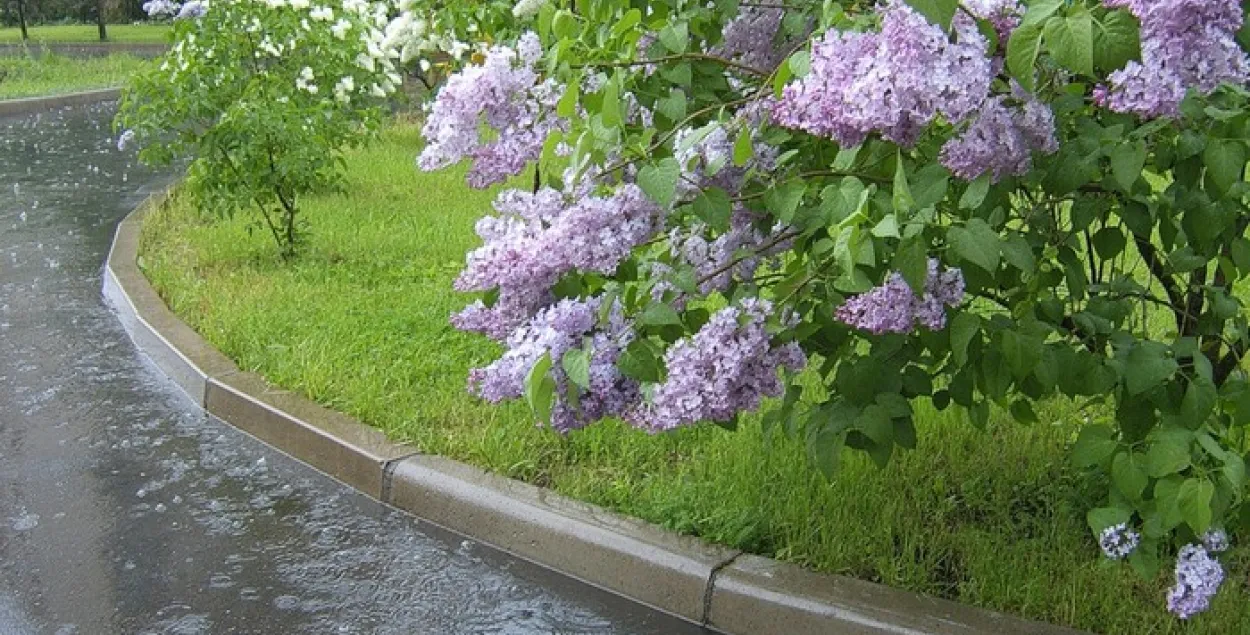 Фото из архива