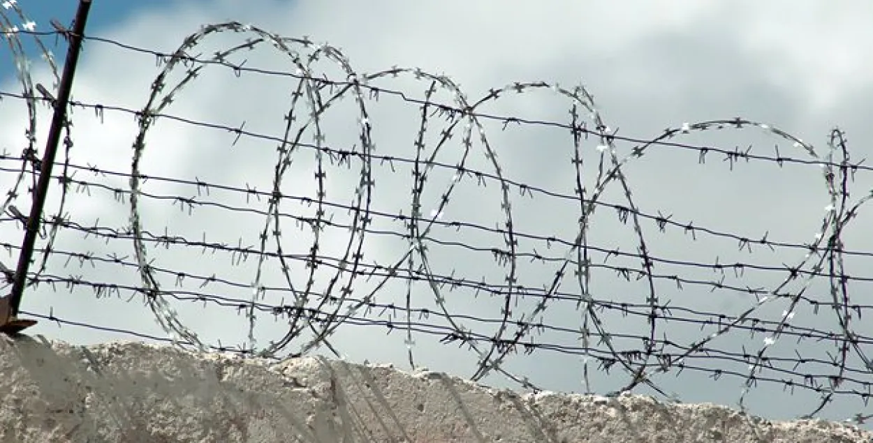 Фото: БЕЛТА