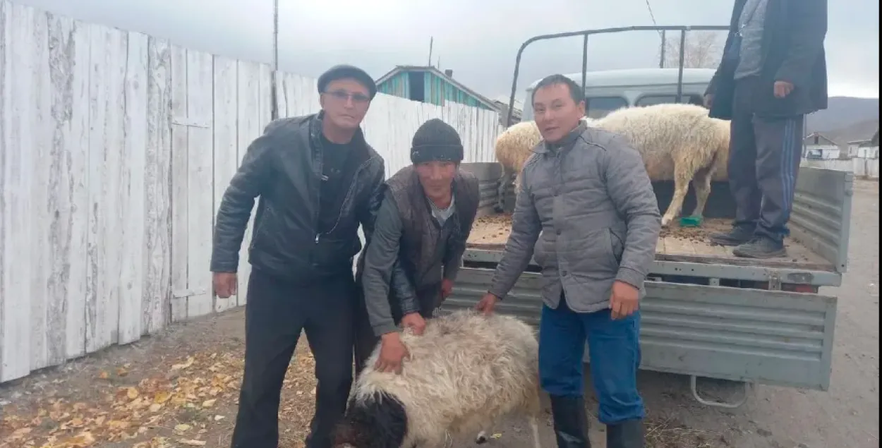 У Туве за мабілізаваных даюць бараноў / прэс-служба ўрада Тувы
