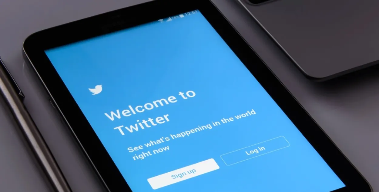 Мінулай восенню ўладальнікам Twitter зрабіўся бізнесовец Ілан Маск / pixabay.com