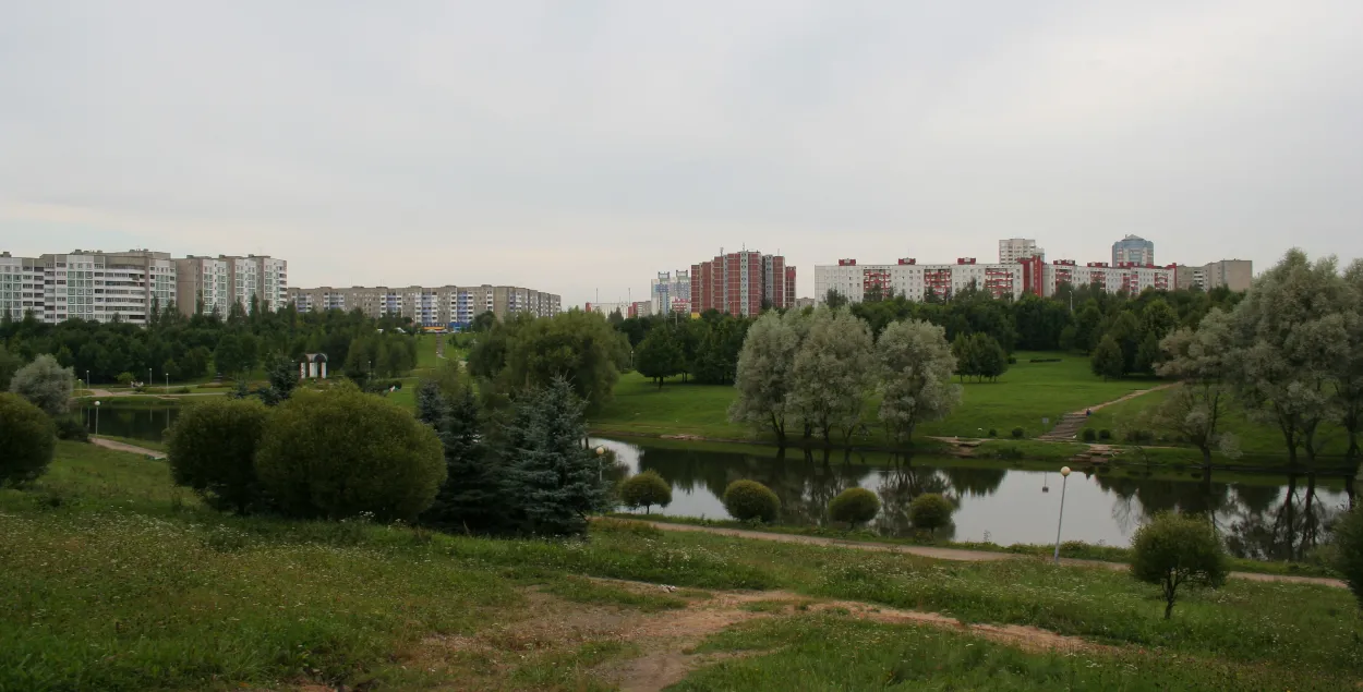 Міліцыянеры лавілі ў сталіцы п'янага аголенага мужчыну