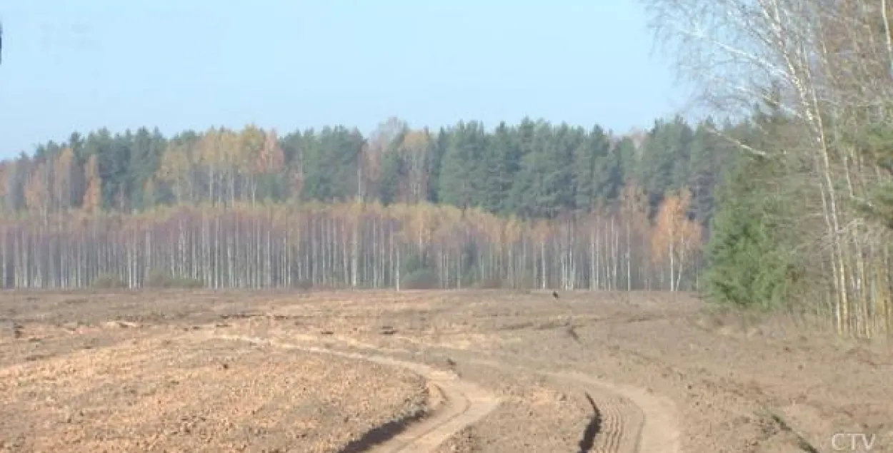 Фото: СТВ