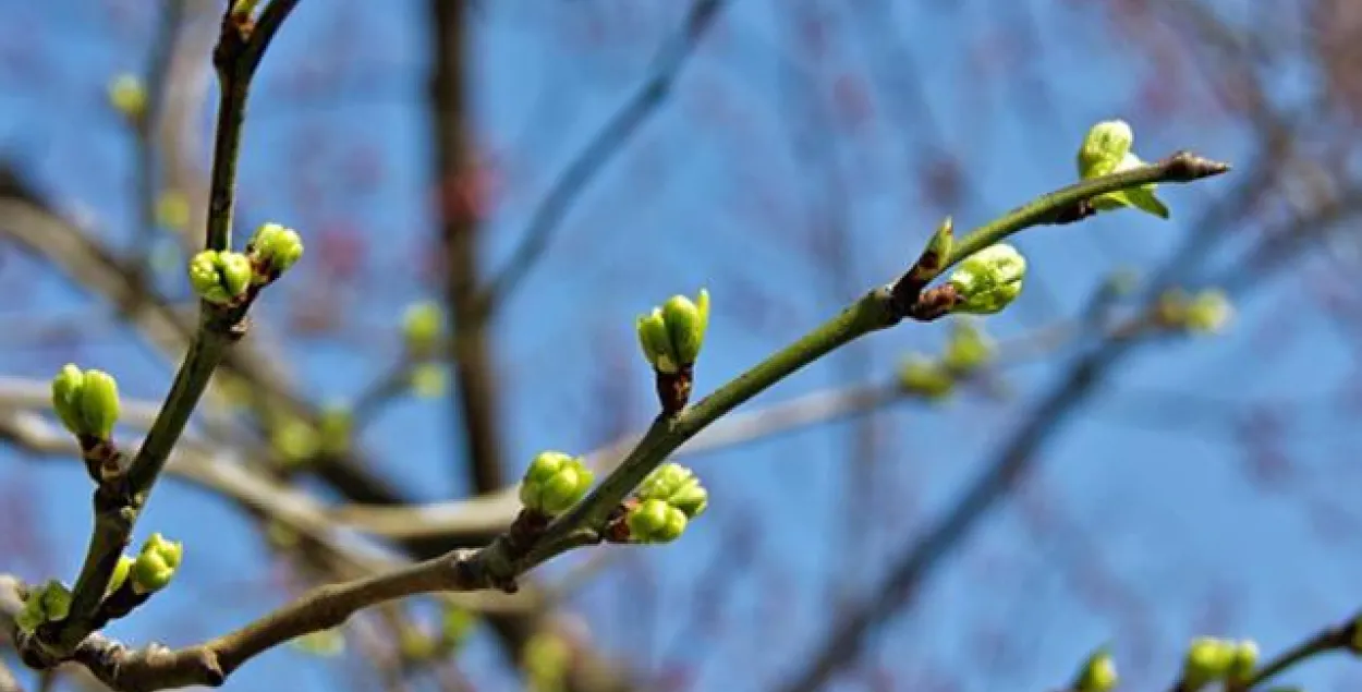 Фото из открытых источников