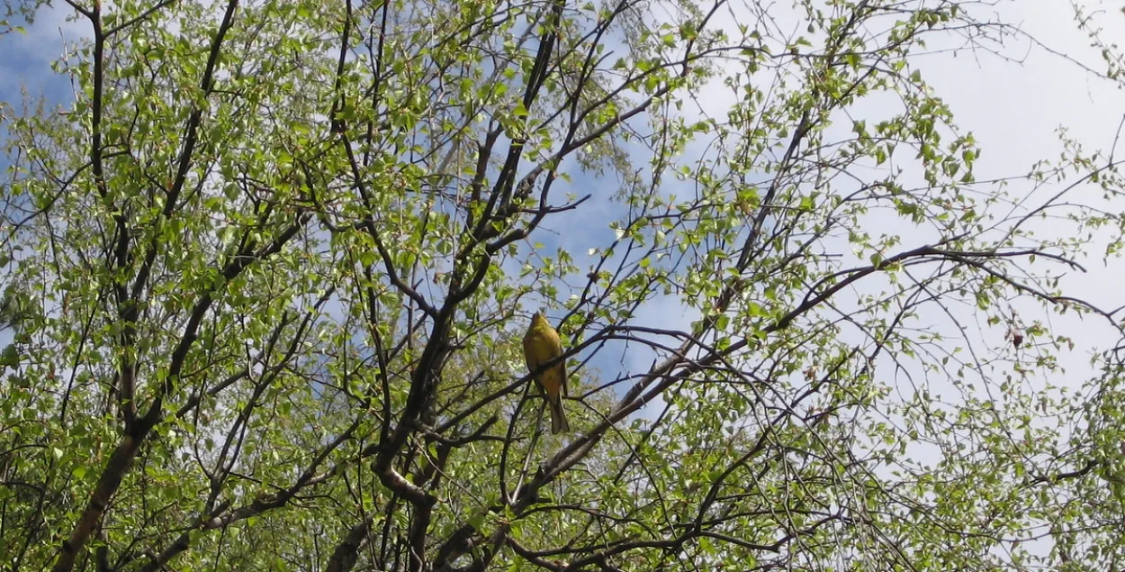 Фото из архива