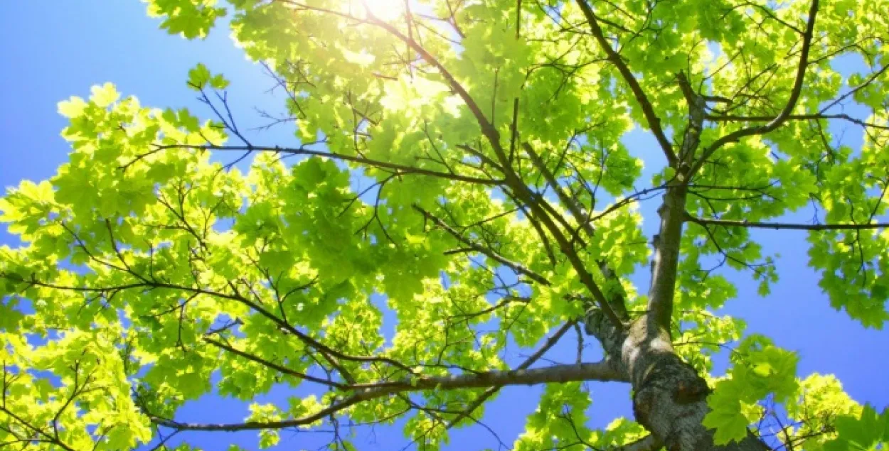 Фото из архива