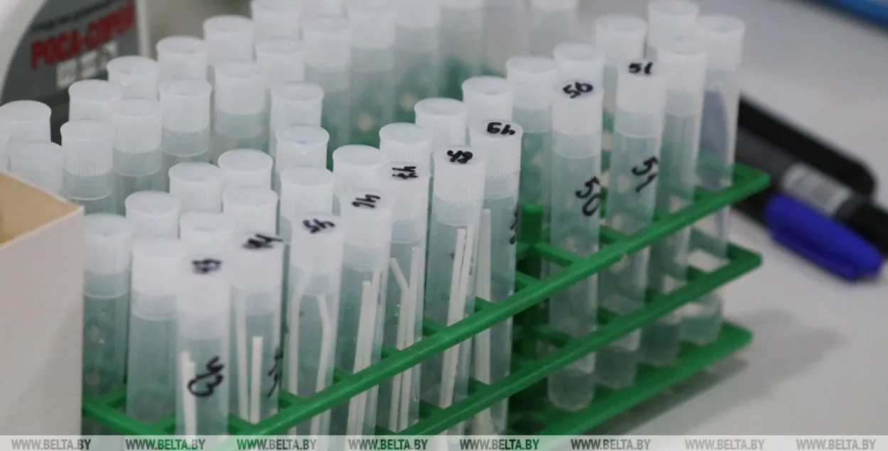 Мінаховы здароўя: у Беларусі магло б быць 840 выпадкаў COVID-19 на дзень
