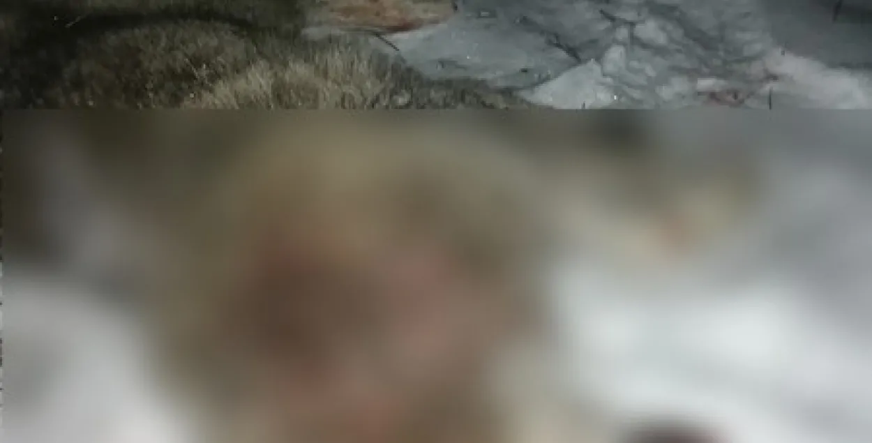 Фото: УВД Минского облисполкома