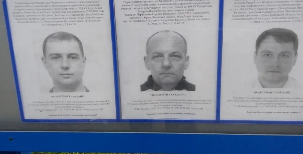 Рэдактара інтэрнэт-партала з Оршы аб'явілі ў вышук