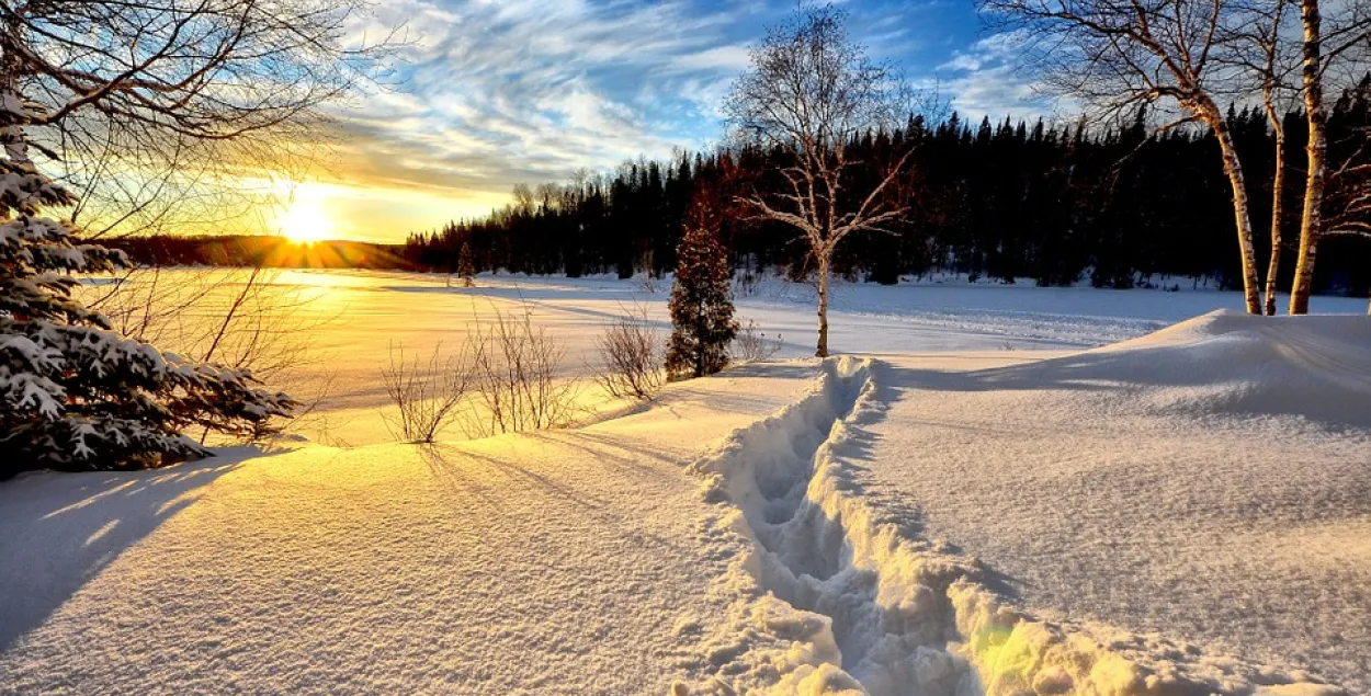 Снимок из архива pixabay.com