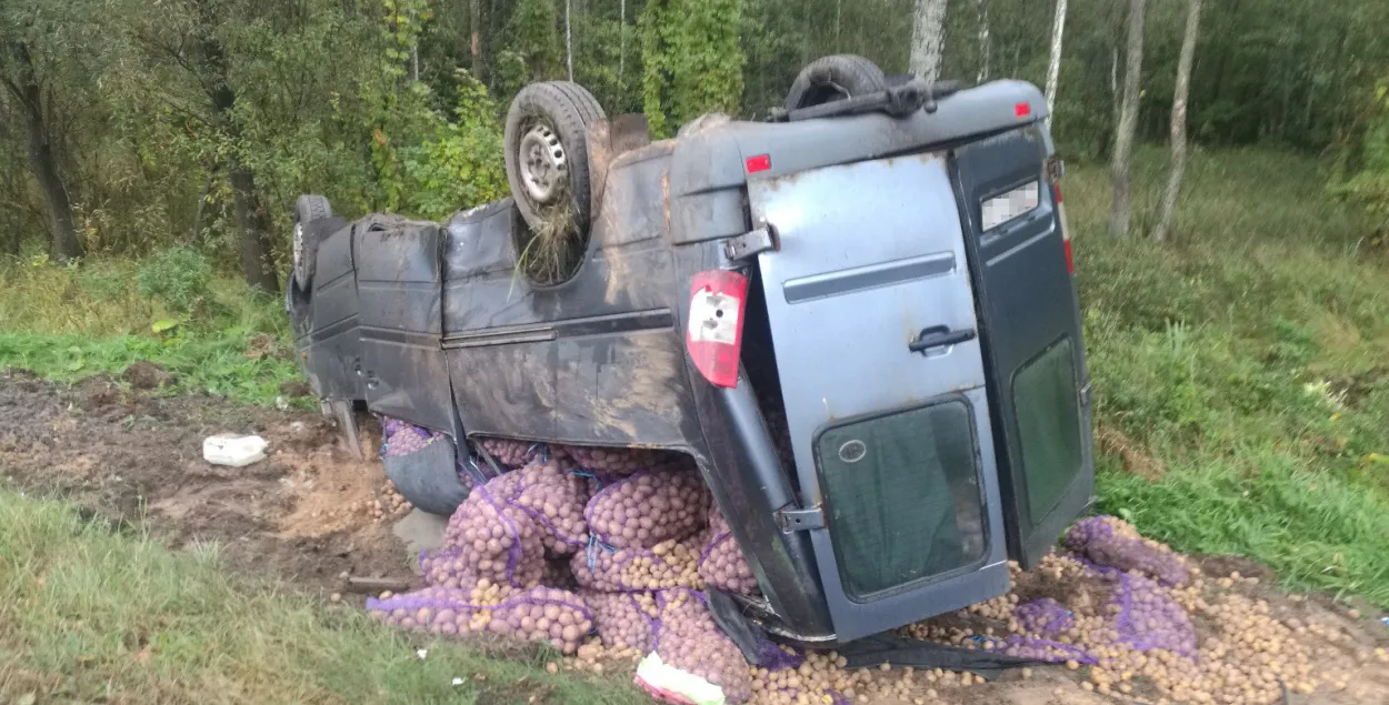 У Рэчыцкім раёне перакуліўся Mercedes з бульбай (фота)