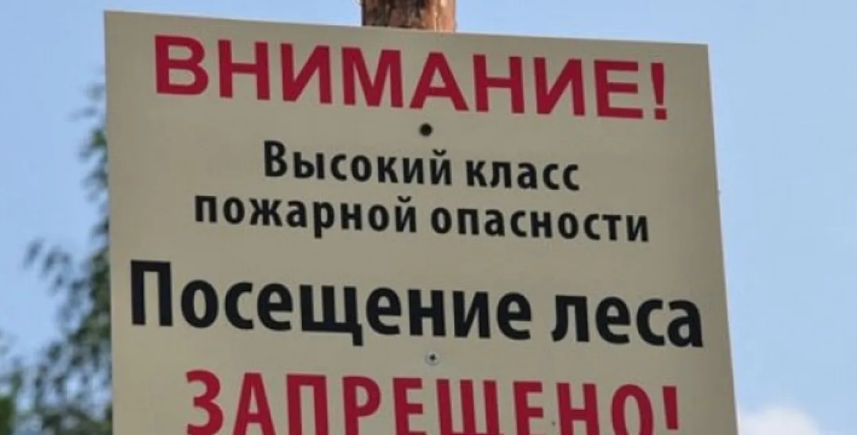 Наведванне лясоў забаранілі амаль ва ўсіх раёнах Брэстчыны