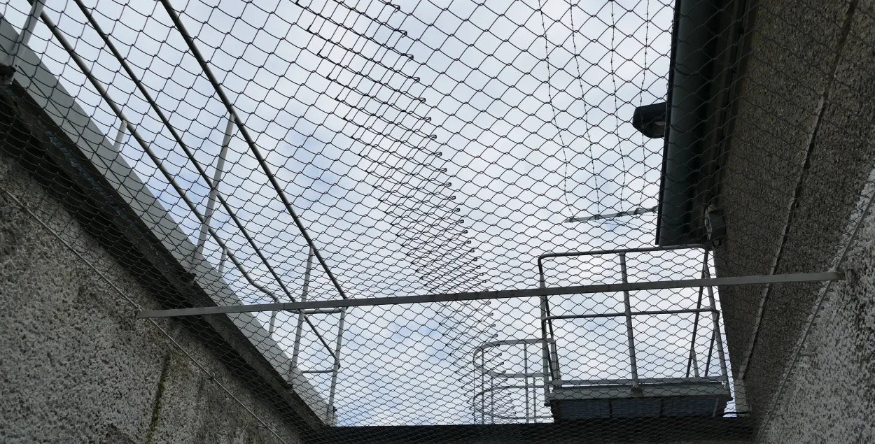 Мужчину задержали за подписку на "деструктивные" каналы и "оскорбительные" комментарии / иллюстративное фото pixabay.com
