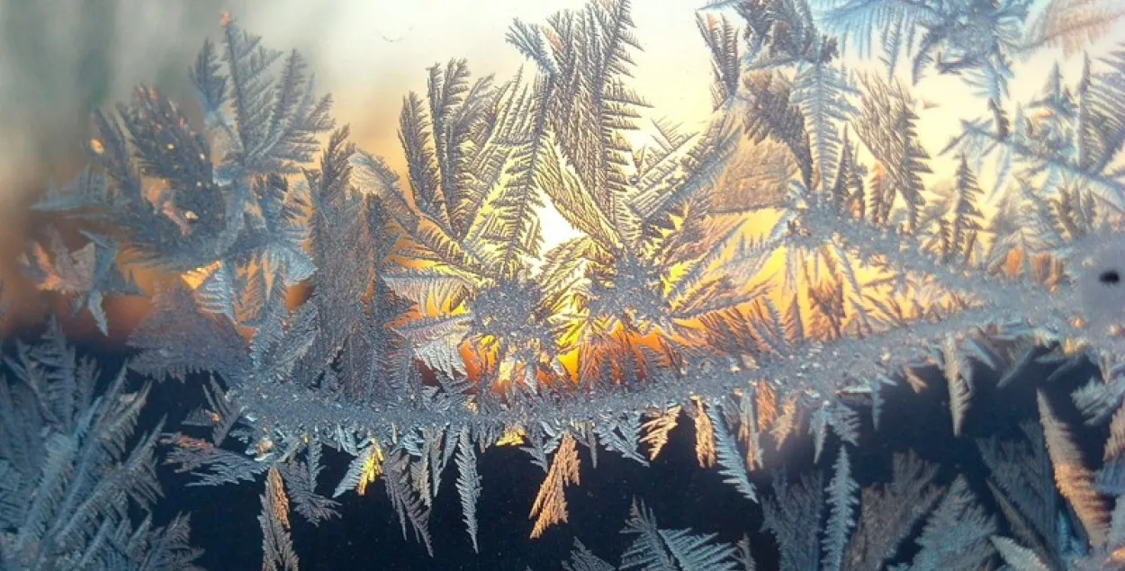 Фото из открытых источников