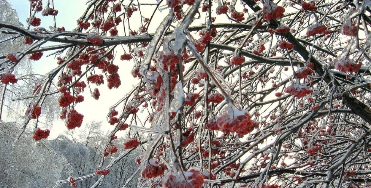 У панядзелак захаваецца надвор’е з марозам і галалёдзіцай