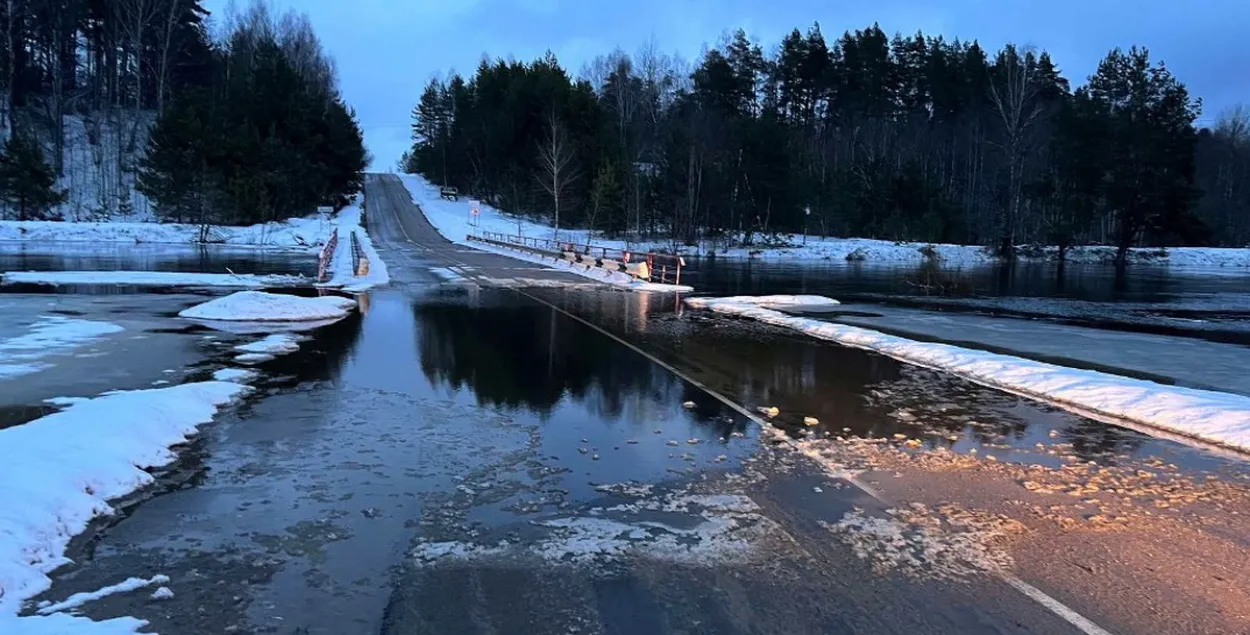 Это произошло в Славгородском и Чаусском районах 