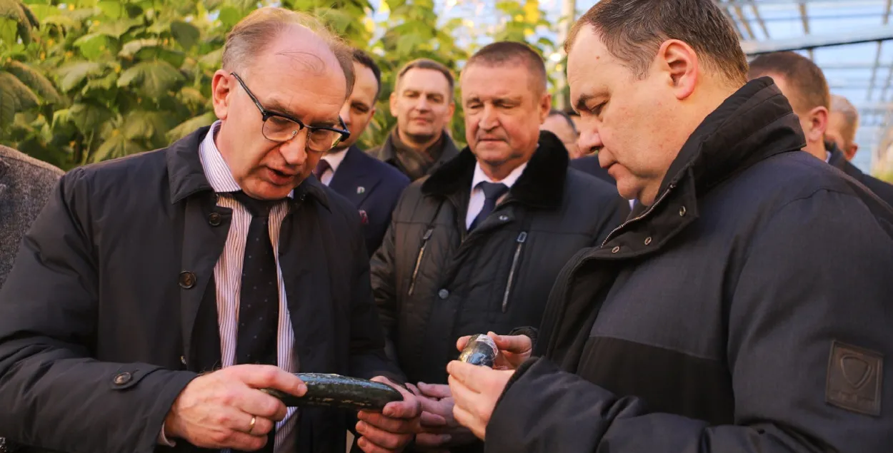 Премьер Роман Головченко и огурец