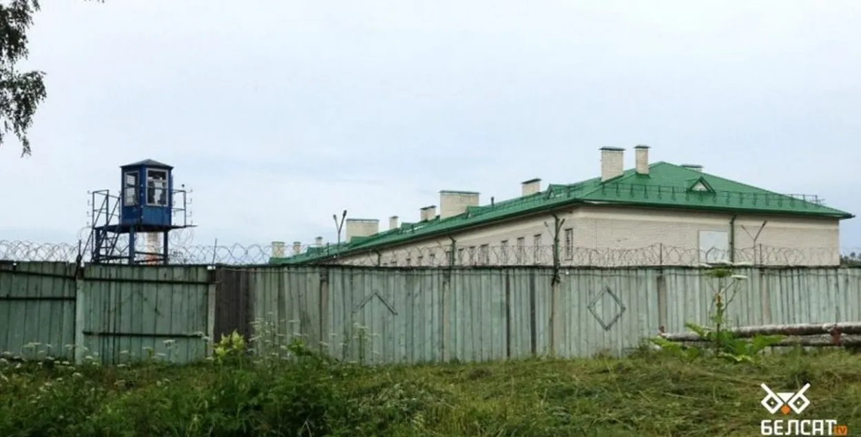 Калонія №3 "Віцьба"