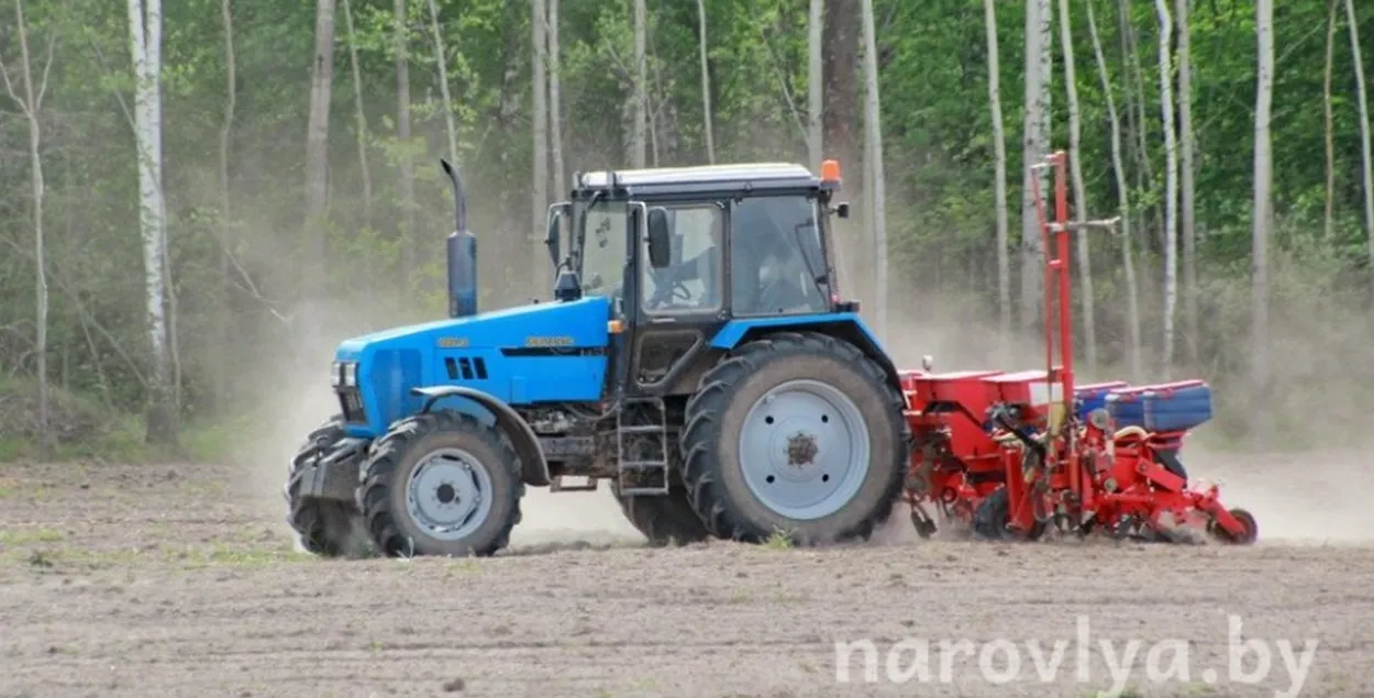 Сельскагаспадарчыя работы ў Нараўлянскай раёне
