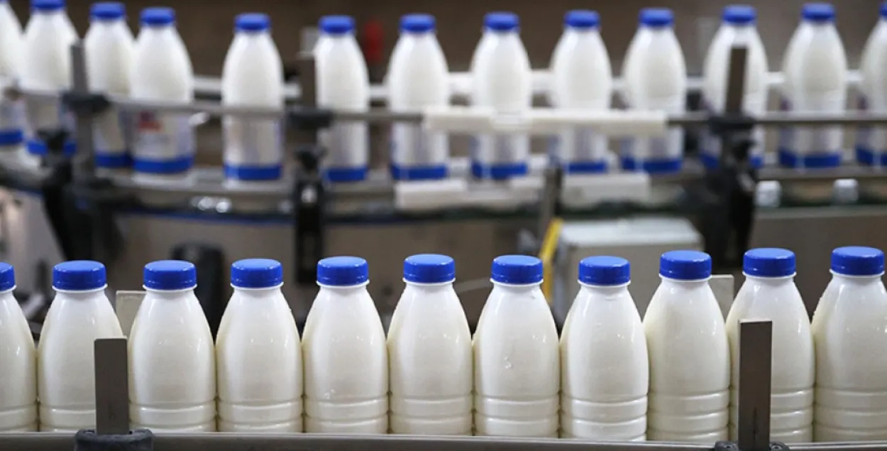 Беларусь в 2023 году поставила молочные продукты в 59 стран мира
