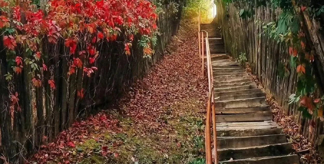 Осень в Беларуси