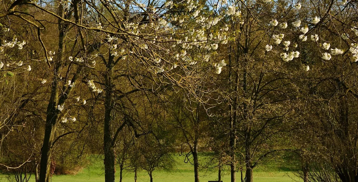 Апрель в Беларуси