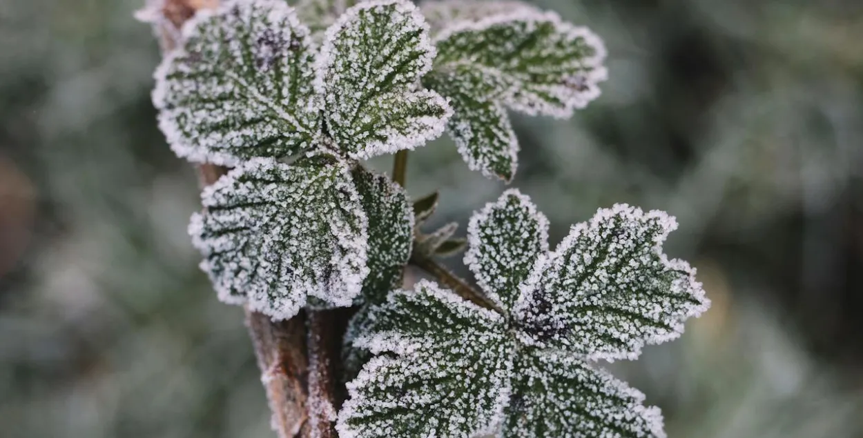 Погода в Беларуси на большрие выходные
