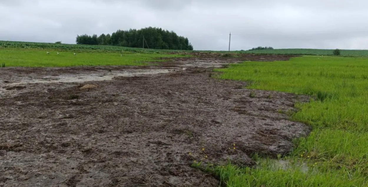 У рацэ Ятранцы ад сцёкаў гною загінула рыба