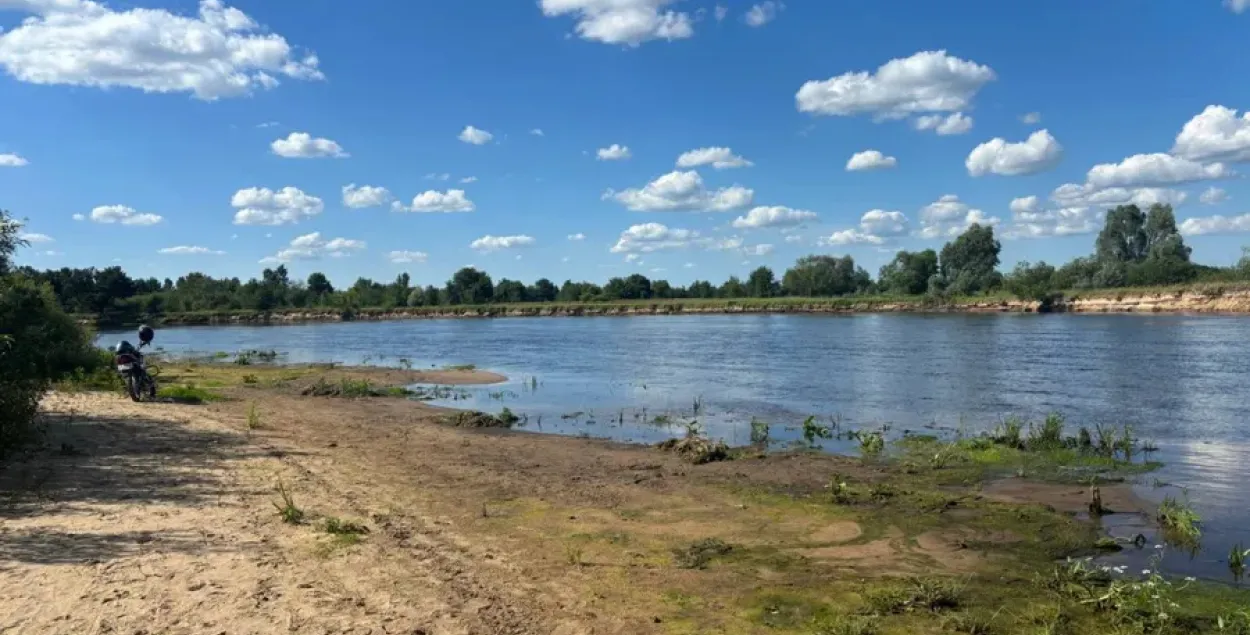 Рака Березіна
