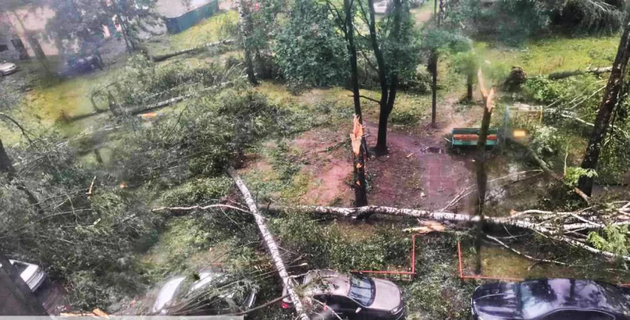 Последствия урагана в Могилеве