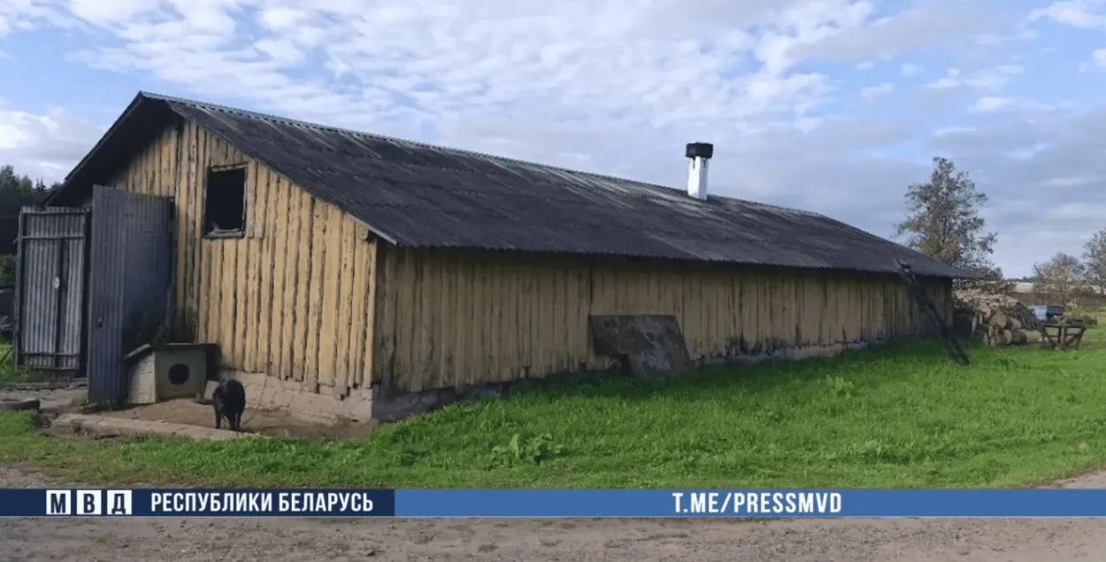 Нелегальное производство
