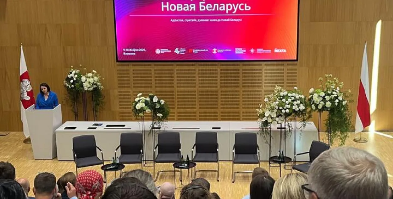 Падчас канферэнцыі "Новая Беларусь"
