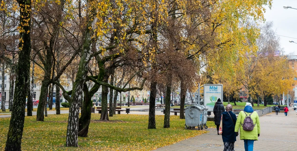 З +29 да +16 градусаў удзень. І дажджы
