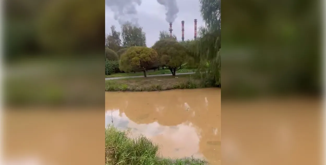 Мингоркомприроды начало разбирательство