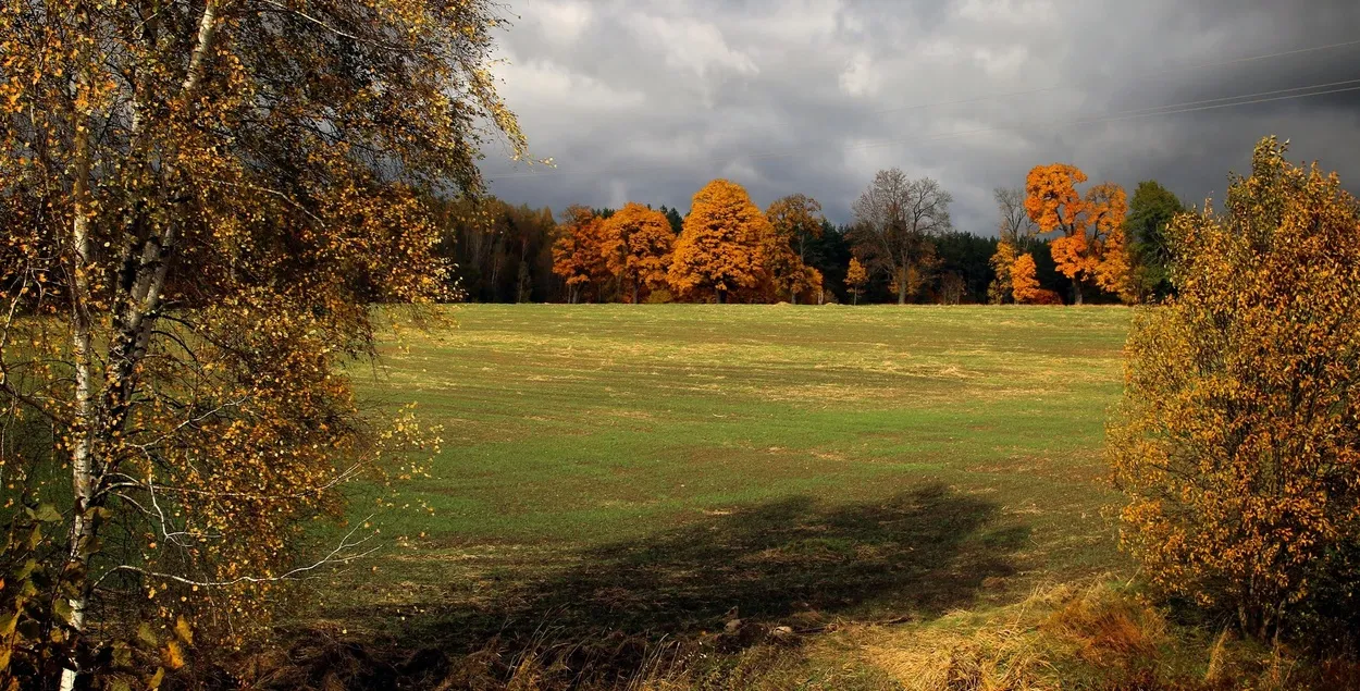 Очень тёплое начало ноября