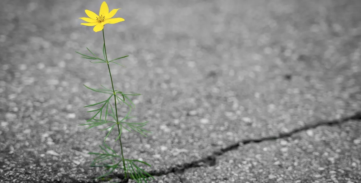 Асфальт, ілюстрацыйнае фота
