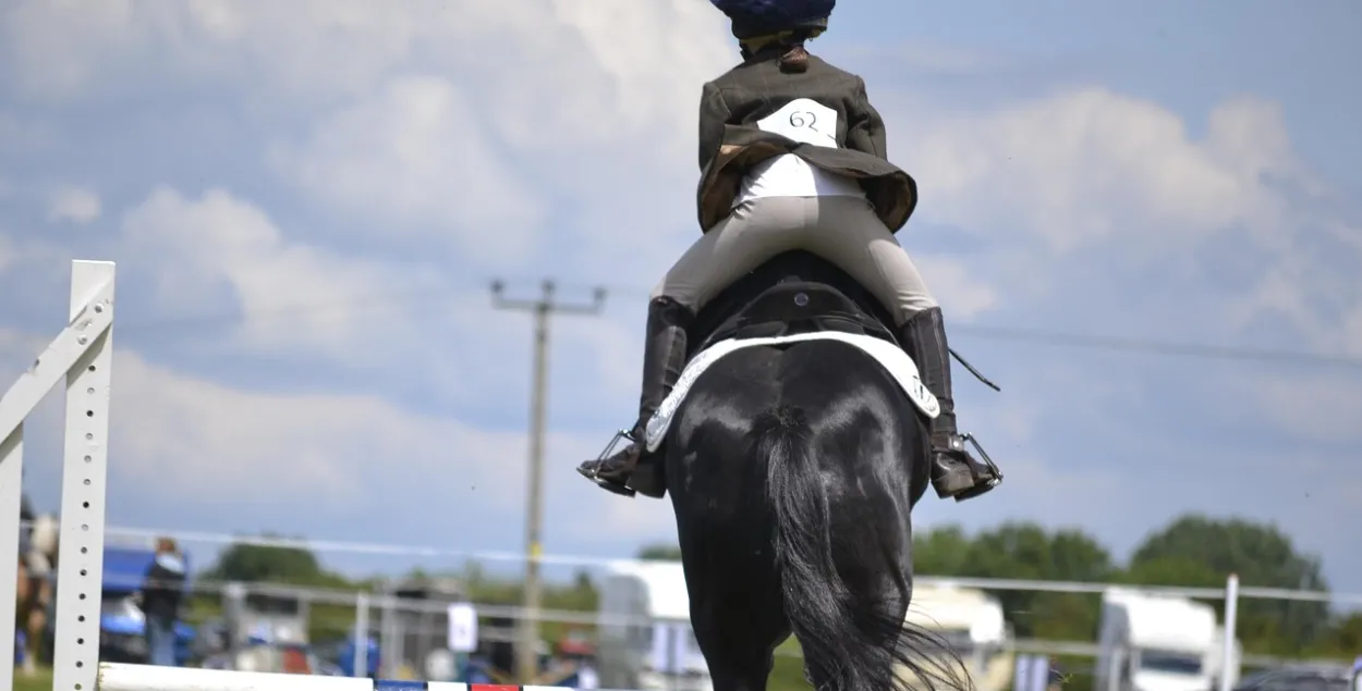 Конный спорт, иллюстративное фото
