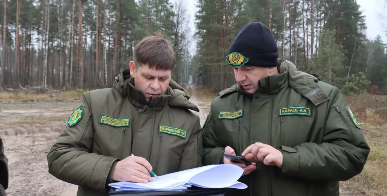 Леснікі, ілюстрацыйнае фота
