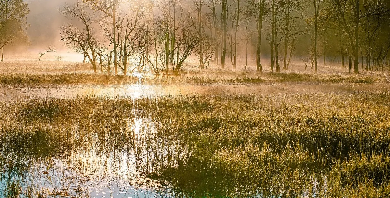 Гэта змякчыць клімат рэгіёна
