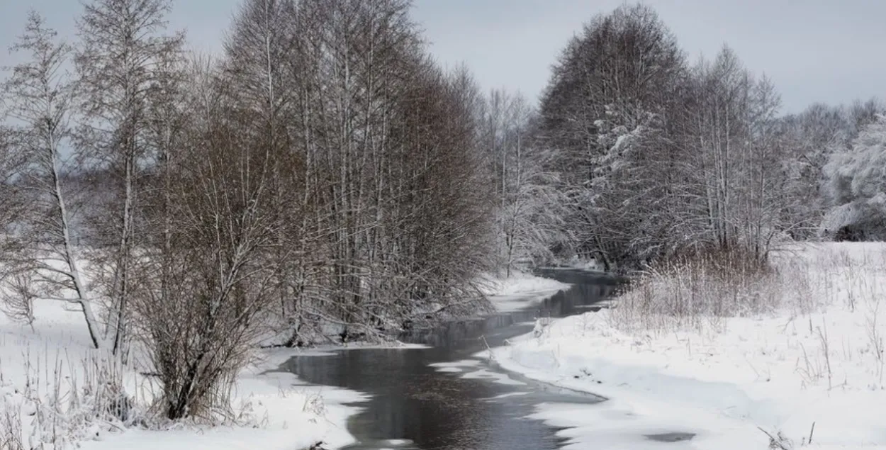 У Мазырскім раёне скасавалі помнік прыроды
