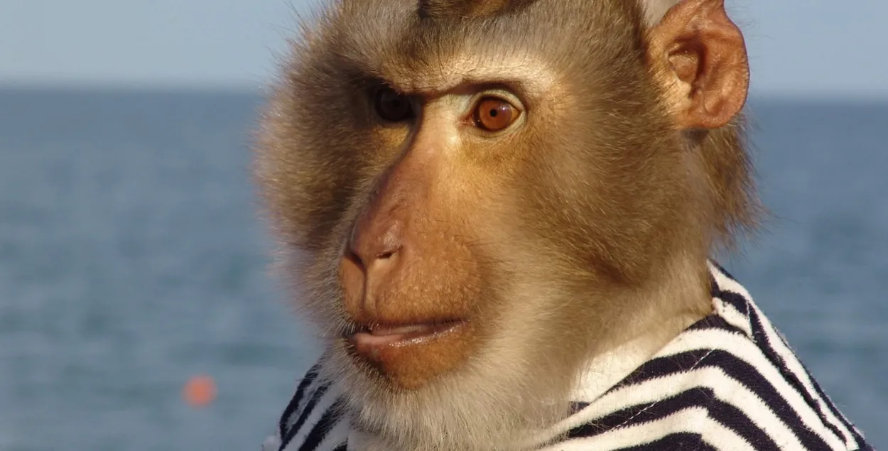 Улады Беларусі плануюць выход да мора
