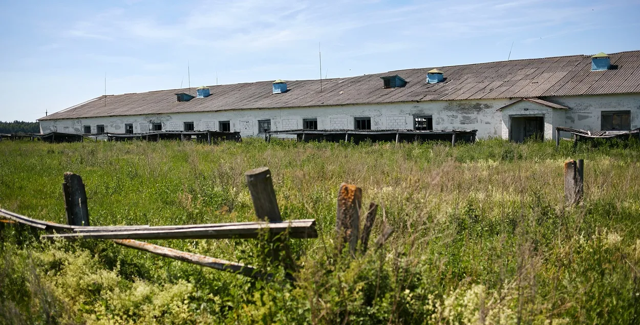 Разруха в колхозе. Фото носит иллюстративный характер
