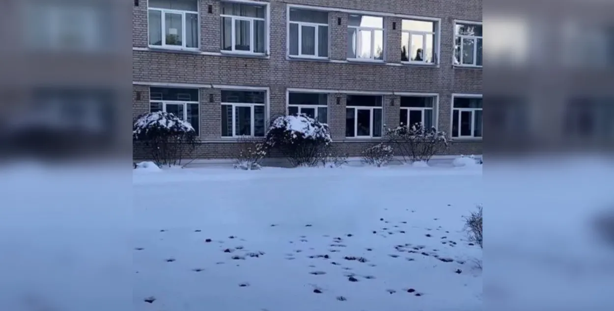 Кажаны ў снезе ў салігорскай гімназіі №1&nbsp;
