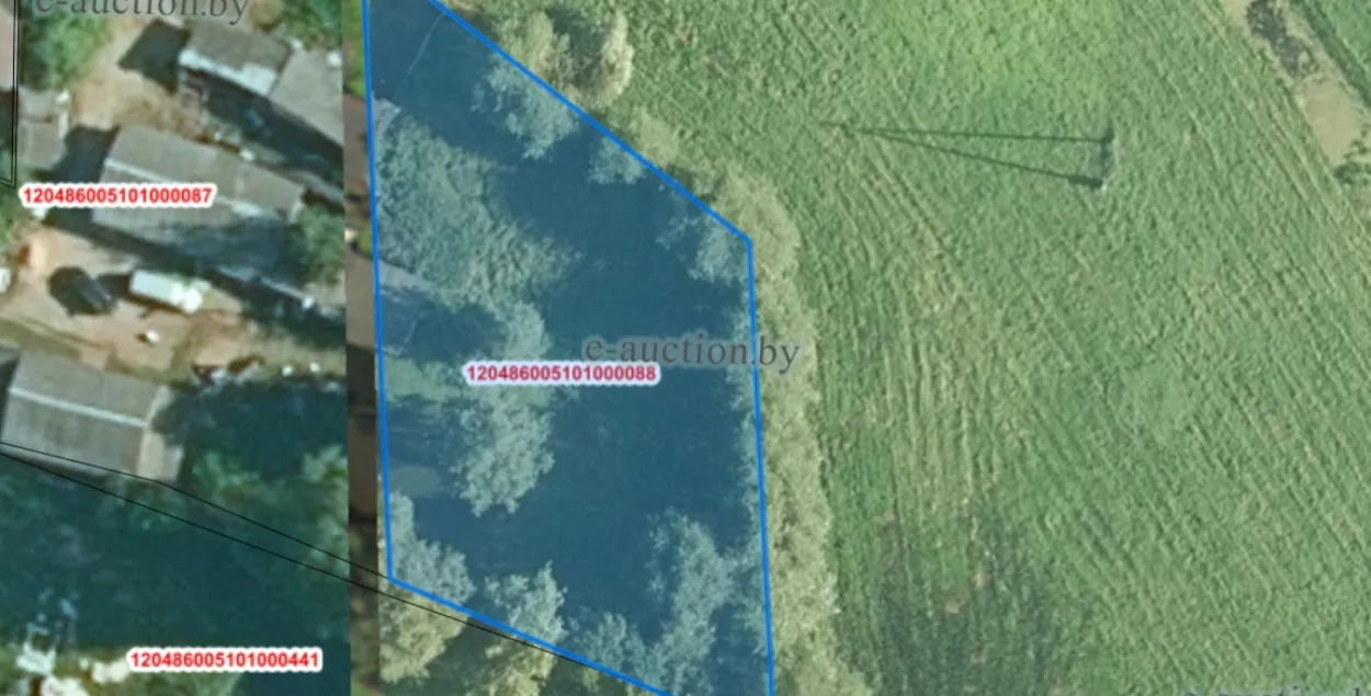 Участак, які прадаюць на аўкцыёне
