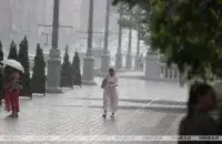 Лета ў Беларусі / БЕЛТА&nbsp;