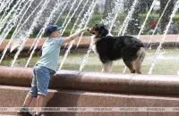 Лета ў Беларусі / БЕЛТА