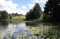 За апошнія тыдні чэрвеня ў азерах і рэках Беларусі патанула больш за 70 чалавек&nbsp;/ Еврорадио